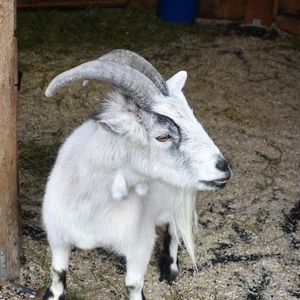 Meet your Posher, Nathalie